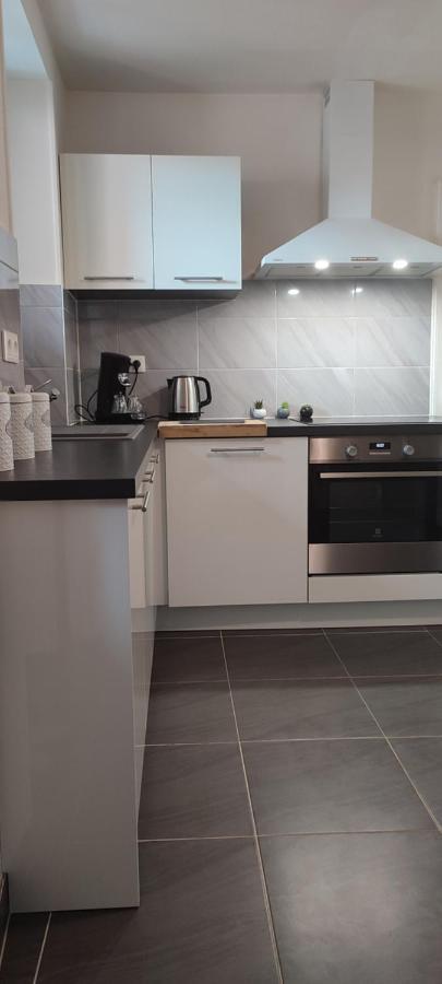 Logement Cosy Et Spacieux, A 2 Pas Du Centre-Ville Colmar Exteriör bild