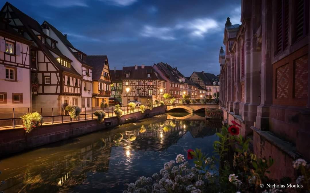 Logement Cosy Et Spacieux, A 2 Pas Du Centre-Ville Colmar Exteriör bild