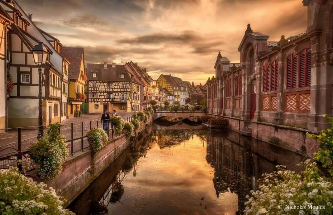 Logement Cosy Et Spacieux, A 2 Pas Du Centre-Ville Colmar Exteriör bild